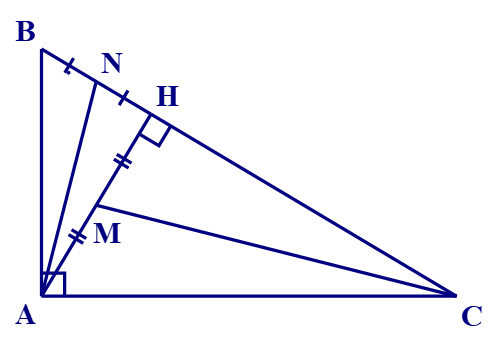 Các trường hợp đồng dạng của tam giác vuông lớp 8 (cách giải + bài tập)