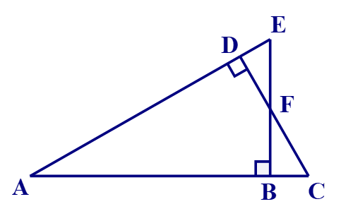 Các trường hợp đồng dạng của tam giác vuông lớp 8 (cách giải + bài tập)