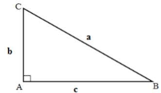 Diện tích tam giác và cách giải bài tập hay, chi tiết (ảnh 1)