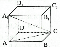 Đường thẳng vuông góc với mặt phẳng – Hai mặt phẳng vuông góc