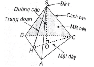 Chuyên đề Một số hình khối trong thực tiễn lớp 8