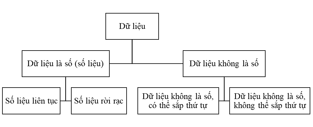 Phân loại dữ liệu lớp 8 (cách giải + bài tập)