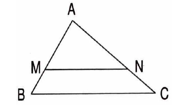 Chuyên đề Tam giác đồng dạng lớp 8