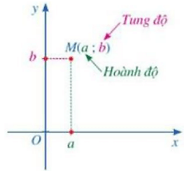 Tọa độ của điểm là gì lớp 8 (chi tiết nhất)