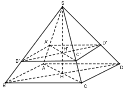 Trắc nghiệm Hình chóp đều và hình chóp cụt đều có đáp án