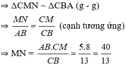 Trắc nghiệm Trường hợp đồng dạng thứ ba có đáp án