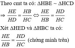 Trắc nghiệm Trường hợp đồng dạng thứ ba có đáp án