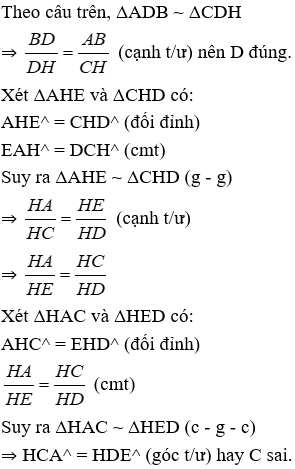 Trắc nghiệm Trường hợp đồng dạng thứ ba có đáp án