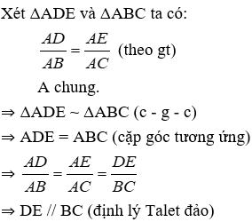 Trắc nghiệm Trường hợp đồng dạng thứ hai có đáp án