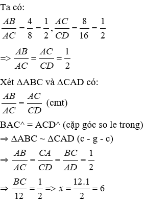 Trắc nghiệm Trường hợp đồng dạng thứ hai có đáp án