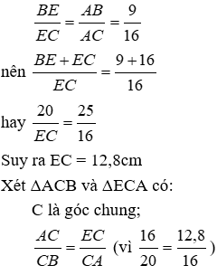 Trắc nghiệm Trường hợp đồng dạng thứ hai có đáp án