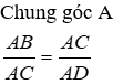 Trắc nghiệm Trường hợp đồng dạng thứ hai có đáp án