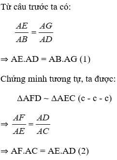 Trắc nghiệm Trường hợp đồng dạng thứ nhất có đáp án