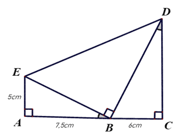Trường hợp đồng dạng thứ ba của tam giác lớp 8 (cách giải + bài tập)