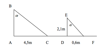 Ứng dụng thực tế của tam giác đồng dạng – đo gián tiếp chiều cao