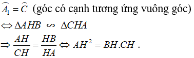 Vận dụng các trường hợp đồng dạng trong tam giác vuông chứng minh hệ thức