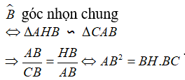 Vận dụng các trường hợp đồng dạng trong tam giác vuông chứng minh hệ thức