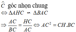 Vận dụng các trường hợp đồng dạng trong tam giác vuông chứng minh hệ thức