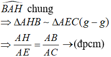 Vận dụng các trường hợp đồng dạng trong tam giác vuông chứng minh hệ thức