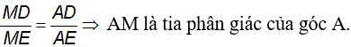 Vận dụng tính chất đường phân giác để chứng minh các hệ thức