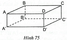 Vị trí tương đối của hai đường thẳng trong không gian