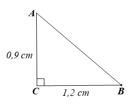 Bài tập Tỉ số lượng giác của góc nhọn (chọn lọc, có lời giải)