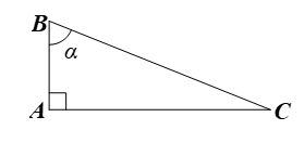 Bài tập Tỉ số lượng giác của góc nhọn (chọn lọc, có lời giải)