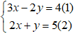 Cách giải hệ phương trình bậc nhất hai ẩn cực hay, có lời giải