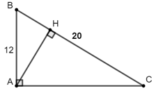 Cách tính độ dài cạnh góc vuông trong tam giác vuông cực hay