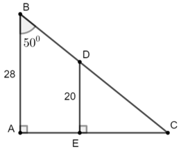 Giải tam giác vuông biết độ dài một cạnh và số đo một góc nhọn