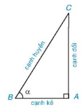 Cosin của góc nhọn là gì lớp 9 (chi tiết nhất) 