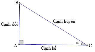 Lý thuyết Tỉ số lượng giác của góc nhọn - Lý thuyết Toán lớp 9 đầy đủ nhất