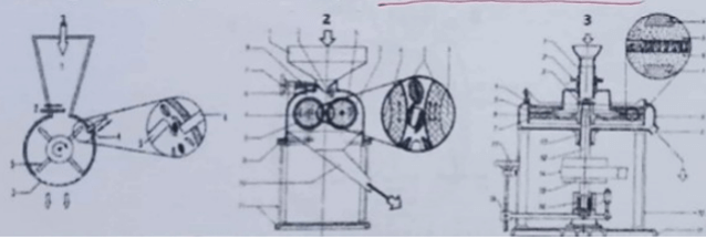 200+ Trắc nghiệm Cây lương thực đại cương (có đáp án)