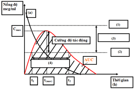 200+ Trắc nghiệm Công nghệ bào chế dược (có đáp án)
