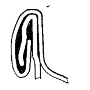  Trắc nghiệm Công nghệ đồ hộp thực phẩm