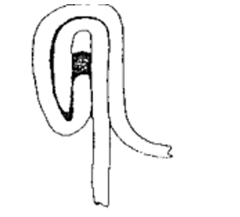  Trắc nghiệm Công nghệ đồ hộp thực phẩm