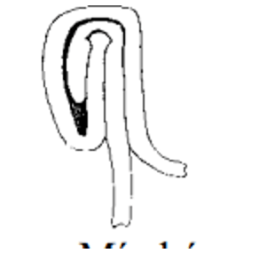  Trắc nghiệm Công nghệ đồ hộp thực phẩm