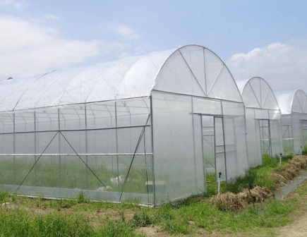 200+ Trắc nghiệm Máy nông nghiệp ngày nay (có đáp án)