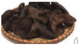 200+ Trắc nghiệm Nấm ăn và nấm dược liệu (có đáp án)