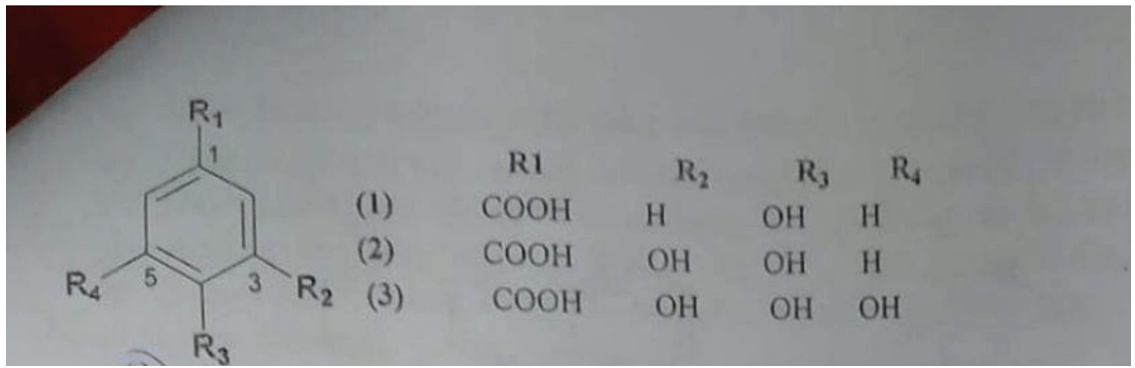  Trắc nghiệm Phân tích công cụ