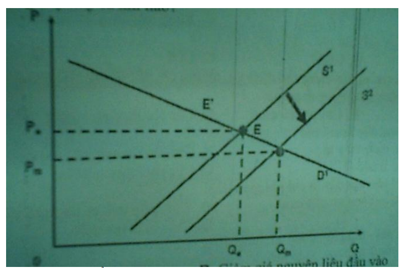 200+ Trắc nghiệm Quản lý và kinh tế dược (có đáp án)