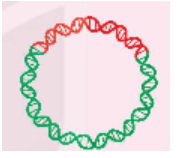 200+ Trắc nghiệm Vi sinh vật ứng dụng trong thủy sản (có đáp án)