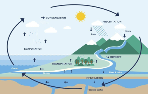 Hướng dẫn viết dạng bài Process trong IELTS Writing Task 1
