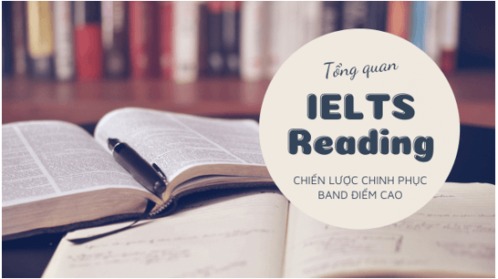Thang điểm IELTS Reading và cách tính điểm chuẩn nhất 2025