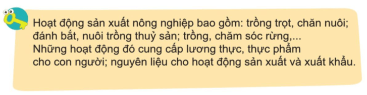 Tự nhiên xã hội lớp 3 Bài 9 trang 43 Câu hỏi | Cánh diều