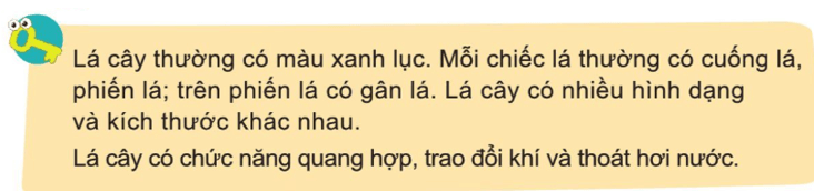 Tự nhiên xã hội lớp 3 Bài 12 trang 68 Câu hỏi | Cánh diều