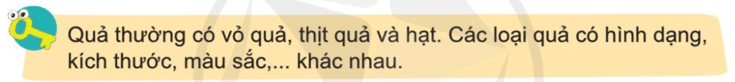 Tự nhiên xã hội lớp 3 Cánh diều Bài 12 trang 70 Câu hỏi