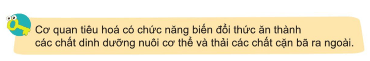 Tự nhiên xã hội lớp 3 Bài 15 trang 86 Câu hỏi | Cánh diều