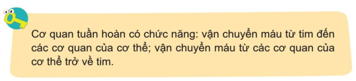 Tự nhiên xã hội lớp 3 Bài 16 trang 90 Câu hỏi | Cánh diều