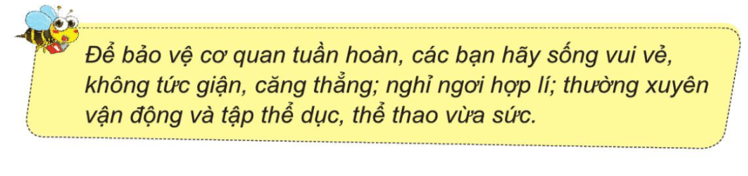 Tự nhiên xã hội lớp 3 Cánh diều Bài 16 trang 92 Câu hỏi